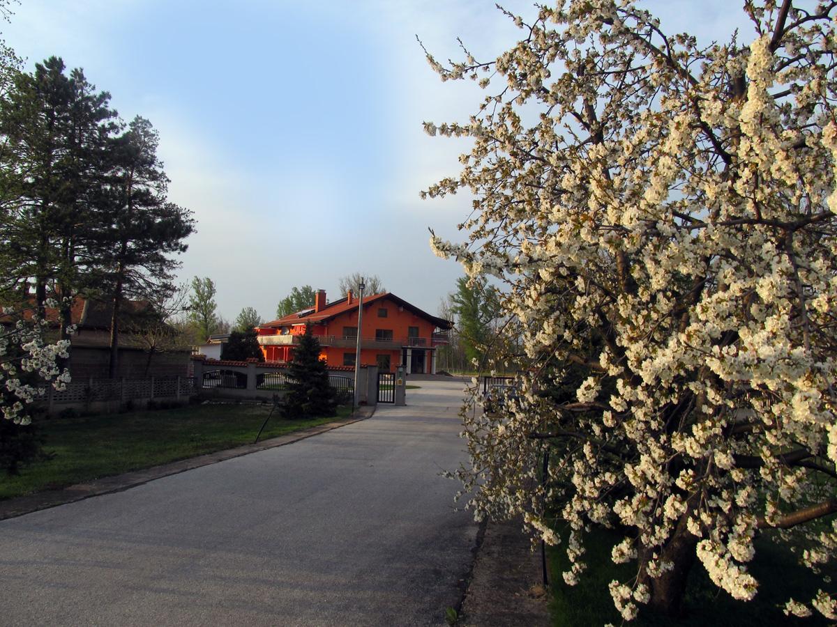 Ferienwohnung Novapark Ždrelo Exterior foto